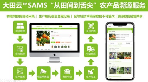 大田智慧农业投资1.28亿元数字化服务，构筑农产品安全生产新生态